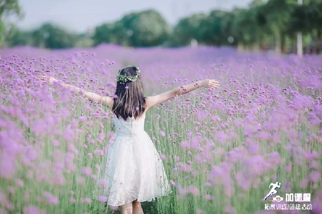 成都團建一日游：龍泉蔚然花海