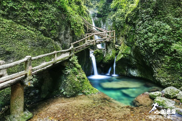 1天|勇攀高峰，問道青城！青城山團(tuán)建活動(dòng)